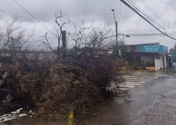 Doble alerta para Sonora: anuncian aguaceros y rachas de viento de hasta 70 km/h en las próximas 48 horas