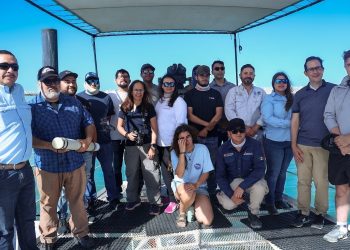 Capacitan a observadores para conservación de la vaquita marina