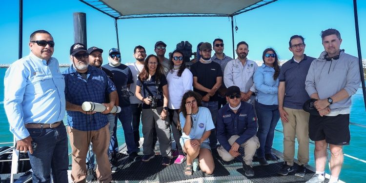 Capacitan a observadores para conservación de la vaquita marina