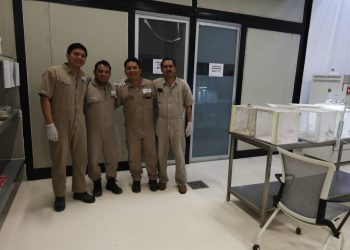 SENASICA desarrolla cepas para fortalecer combate al gusano barrenador del ganado en México
