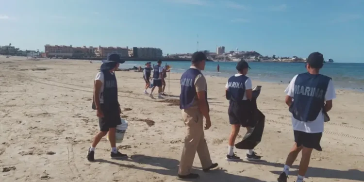 Personal Naval Participa en Jornada de Limpieza de Playas y Costas en Puerto Peñasco