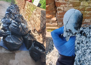 Colectivo de búsqueda pide no descartar origen humano de restos hallados en Ayutla