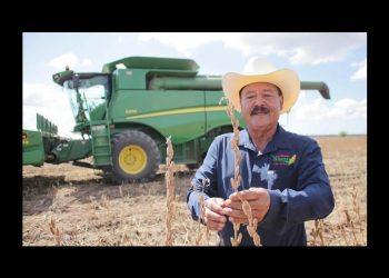 Impulsa gobierno la reconversión de cultivos en el campo sonorense para un mejor aprovechamiento del agua