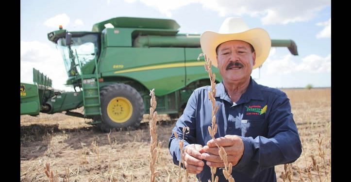 Impulsa gobierno la reconversión de cultivos en el campo sonorense para un mejor aprovechamiento del agua