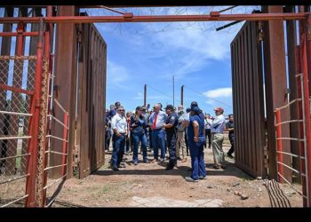 Confirman apertura de exportación de ganado por Sonora y Chihuahua