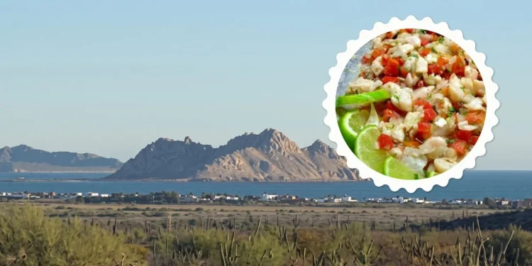 Bahía de Kino famoso por su comunidad indígena milenaria y playas vírgenes donde comes callo de hacha y machaca con mariscos