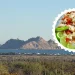 Bahía de Kino famoso por su comunidad indígena milenaria y playas vírgenes donde comes callo de hacha y machaca con mariscos