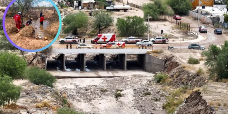 Dos Hermanos Detenidos por Presuntamente Intentar Asesinar a su Madre en Hermosillo
