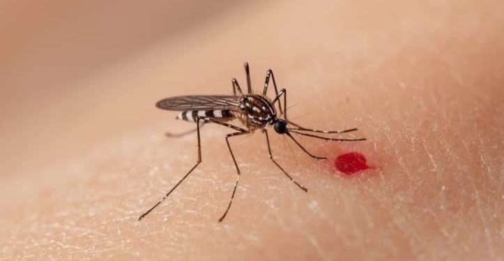 Se reportan 7 muertes y más de 3 mil casos de dengue en el país