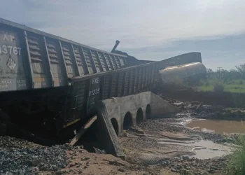 Profepa atiende emergencia por descarrilamiento de tren con sustancia química