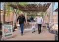 El Centro Ecológico de Sonora registra 73 nacimientos en el primer semestre de 2026