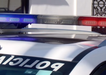 Perro en Situación de Calle Resultó con Quemaduras tras Caer en Depósito de Chapopote en Cajeme