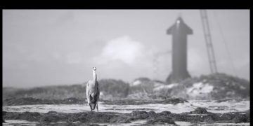 El cielo que vieron nuestros padres ya no existe: la basura espacial es el nuevo frente de lucha ambiental en la frontera México-EEUU