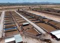 Inician obras de ampliación en la Estación Cuarentenaria de Agua Prieta con inversión de 80 millones de pesos