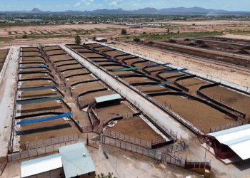 Inician obras de ampliación en la Estación Cuarentenaria de Agua Prieta con inversión de 80 millones de pesos
