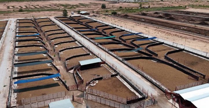 Inician obras de ampliación en la Estación Cuarentenaria de Agua Prieta con inversión de 80 millones de pesos
