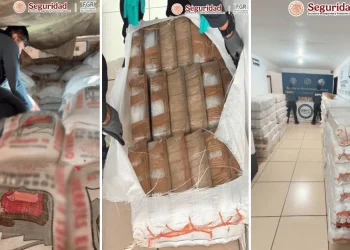 Nuestra empresa está limpia: Empresa rompe el silencio tras hallazgo de 3 toneladas de metanfetamina en sus costales”