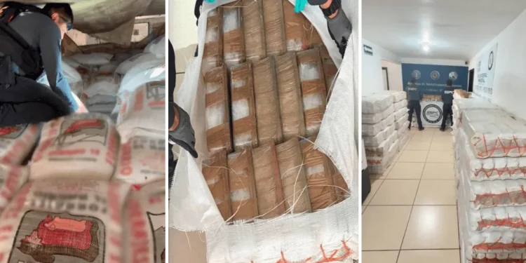 Nuestra empresa está limpia: Empresa rompe el silencio tras hallazgo de 3 toneladas de metanfetamina en sus costales”
