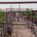 ‘Gusano barrenador no entiende de fronteras’