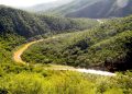Grupo México destinó apenas 1.1% de sus ingresos anuales a protección ambiental en 2025