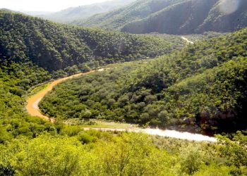 Grupo México destinó apenas 1.1% de sus ingresos anuales a protección ambiental en 2025