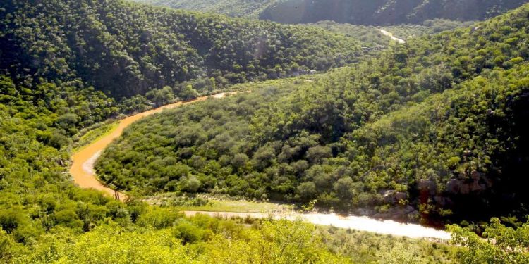 Grupo México destinó apenas 1.1% de sus ingresos anuales a protección ambiental en 2025