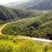 Grupo México destinó apenas 1.1% de sus ingresos anuales a protección ambiental en 2025
