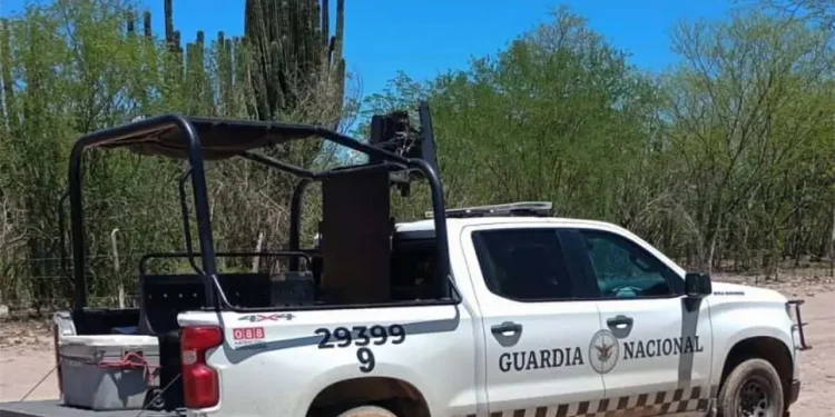 Identifican a los tres hombres hallados en descomposición en los límites de Sinaloa y Sonora