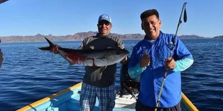 Van por rescate del Golfo de California con economía azul