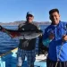 Van por rescate del Golfo de California con economía azul