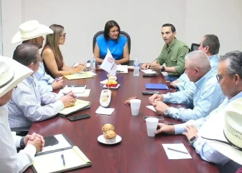 Buscan alfalferos trato directo con ganaderos de Sonora