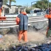 Ascienden a 20 mdp anuales pérdidas por embargo pesquero de EU al Alto Golfo