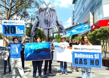 Activistas entregan 90 mil firmas para frenar proyecto Saguaro Energía en Sonora