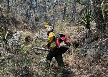 Sonora registra 25 incendios forestales en la temporada 2026