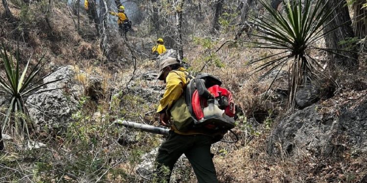 Sonora registra 25 incendios forestales en la temporada 2026