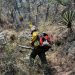 Sonora registra 25 incendios forestales en la temporada 2026