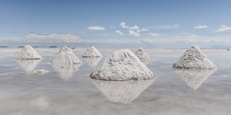 Ganfeng Lithium informa de un aumento de beneficios multiplicado por diez, moldeando el futuro del reino del litio