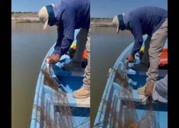 Abandonan en presa “El Oviáchc” artes de pesca utilizada para la pesca ilegal de Tilapia