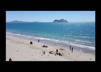 Cumplen playas de Sonora normas sanitarias para uso recreativo en este periodo vacacional
