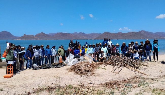 Avances en la Estrategia Nacional de Limpieza y Conservación de Playas en la Regional Noroeste y Alto Golfo de California