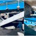Permanece la Janos-Sonora con un carril; evalúan expertos colapso