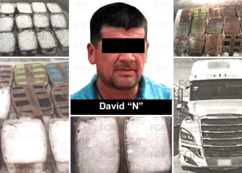 Va a prisión chofer de paquetería de Sonora; le hallaron toneladas de droga entre forraje para ganado