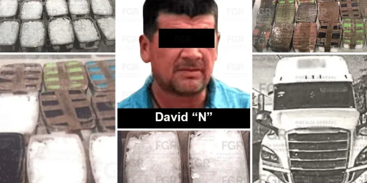 Va a prisión chofer de paquetería de Sonora; le hallaron toneladas de droga entre forraje para ganado