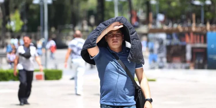 Ganaderos de Chihuahua, Durango, Coahuila y Sonora acuerdan protocolos de tránsito bajo estándares de exportación