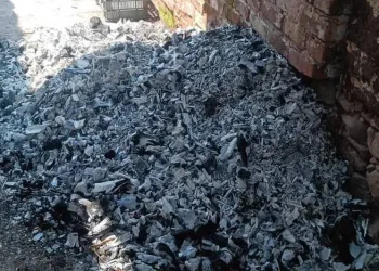 Restos hallados en Ayutla son de animales confirma la Fiscalía de Jalisco