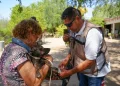 Sonora suma 74 casos y 32 muertes por fiebre manchada, enfermedad transmitida por la garrapata del perro
