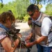 Sonora suma 74 casos y 32 muertes por fiebre manchada, enfermedad transmitida por la garrapata del perro