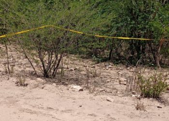 Cuerpos encontrados en los límites de Sonora y Sinaloa siguen sin identificar: Fiscalía de Sinaloa