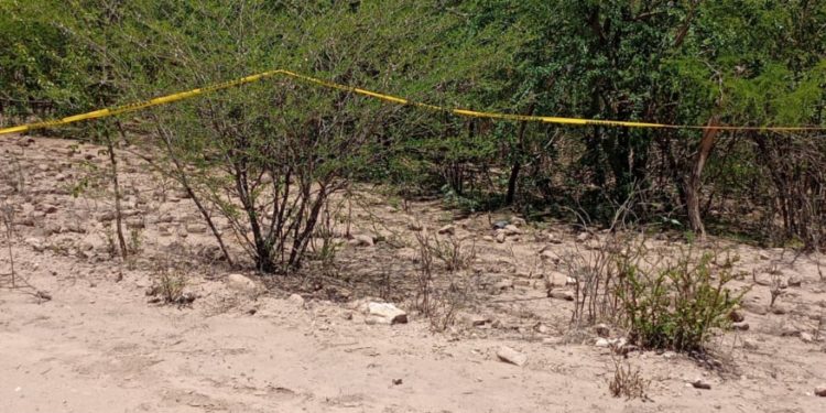 Cuerpos encontrados en los límites de Sonora y Sinaloa siguen sin identificar: Fiscalía de Sinaloa