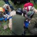 Matan a tigre de Bengala tras intensa búsqueda en Edomex